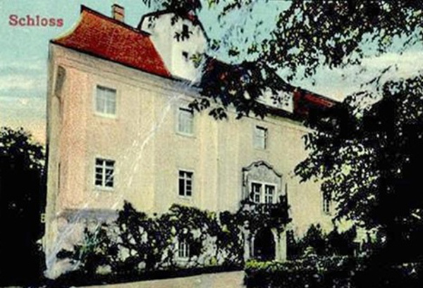 palace okolic swiebodzic (8)